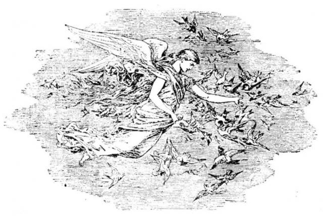 Természetvédelem rajz