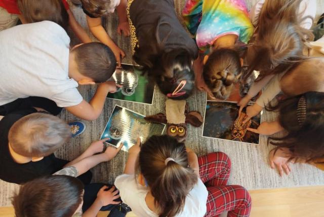 Gyerekek madaras képeket néznek