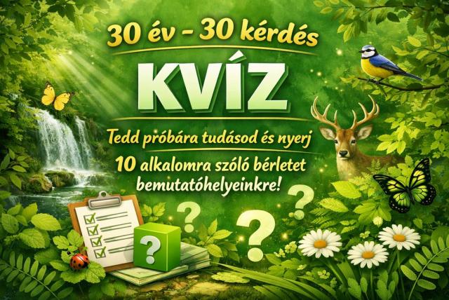 Erdő madárral, lepkékkel, gímszarvassal, középen KVÍZ felirat